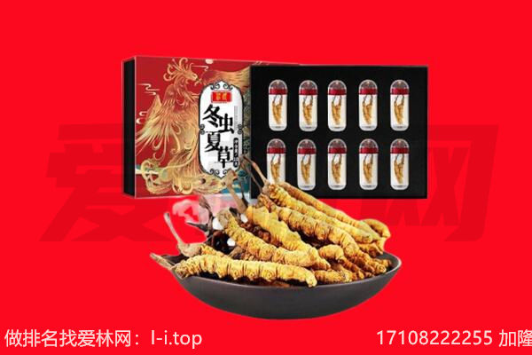 潞州区回收虫草.jpg